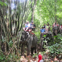 Khao-Sok-Jungle-Safari (6)